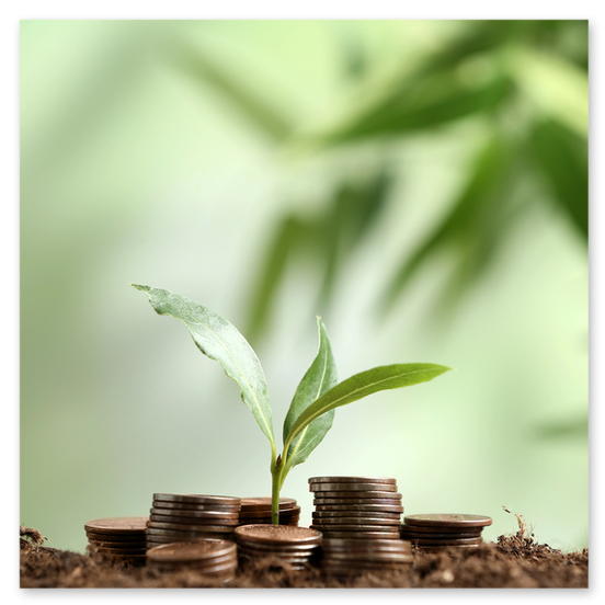 Intercambio de sementes nun encontro comunitario