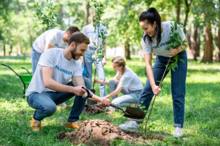 Voluntariado plantando árbores autóctonas