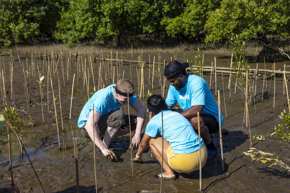 Equipo plantando árbores autóctonas