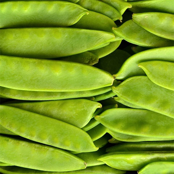 Participantes nun curso práctico de agroecoloxía